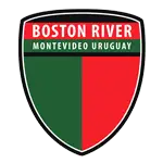 Logotipo del río Boston