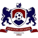 logotipo de newton