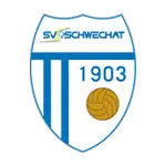 Logotipo de Schwechat