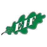 Logotipo del FEI
