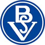 Logotipo de Bremer SV