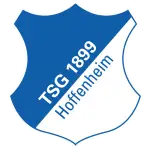 Logotipo del Hoffenheim II