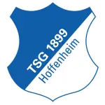 Logo của Hoffenheim II