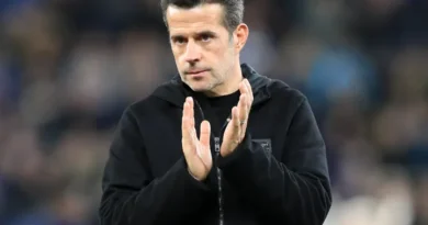 Fulham vs Crystal Palace – Noticias y Probables Alineaciones