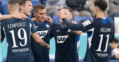 Hoffenheim vs Hamburgo SV – Noticias y Probables Alineaciones