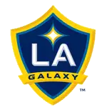 Galaxy logo