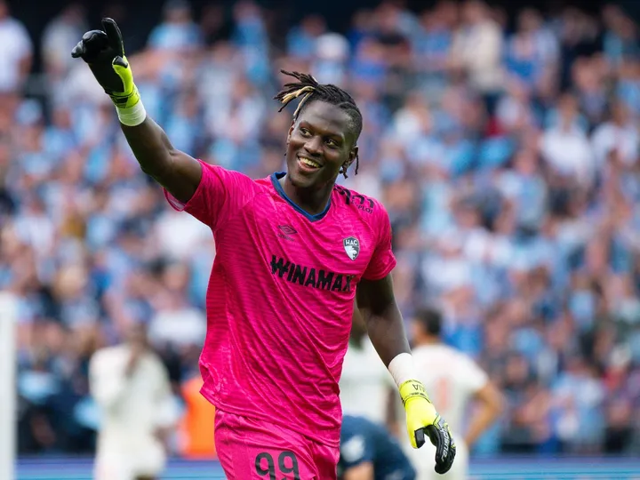 Le Havre
vs
Lyon – Noticias y Probables Alineaciones
