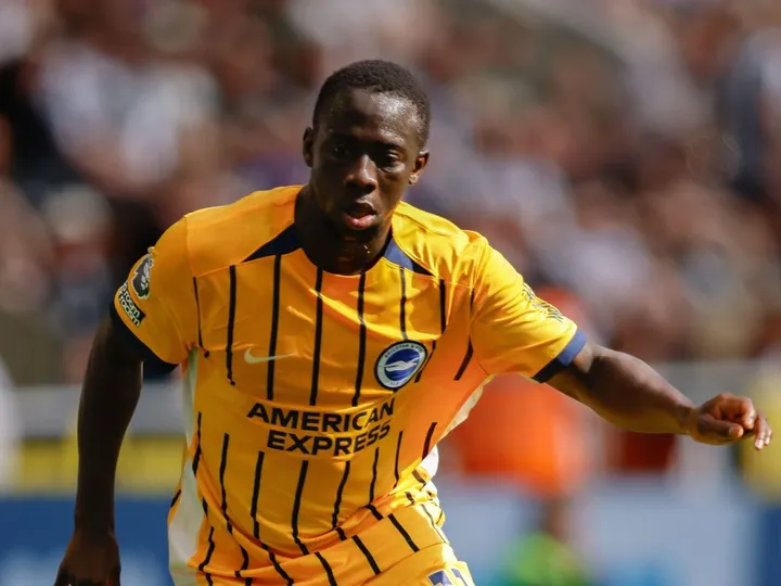 Leeds
vs
Brighton – Noticias y Probables Alineaciones