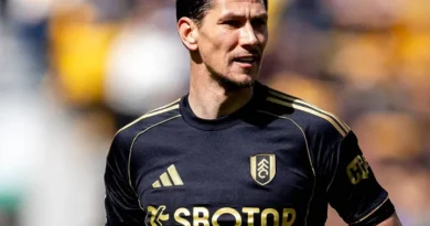 Fulham vs Crystal Palace – Noticias y Probables Alineaciones