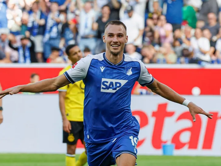 Hoffenheim vs Hamburgo SV – Noticias y Probables Alineaciones